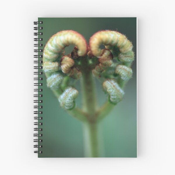 Item preview, opening designed and sold by Murray Breingan.