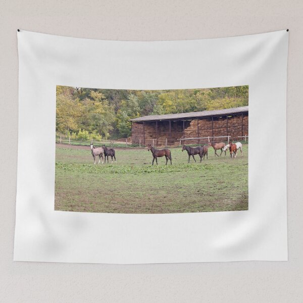 Item preview, herd of horses on farm designed and sold by goceris.