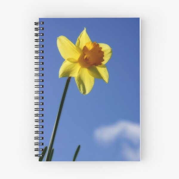 Item preview, A daffodil designed and sold by Murray Breingan.