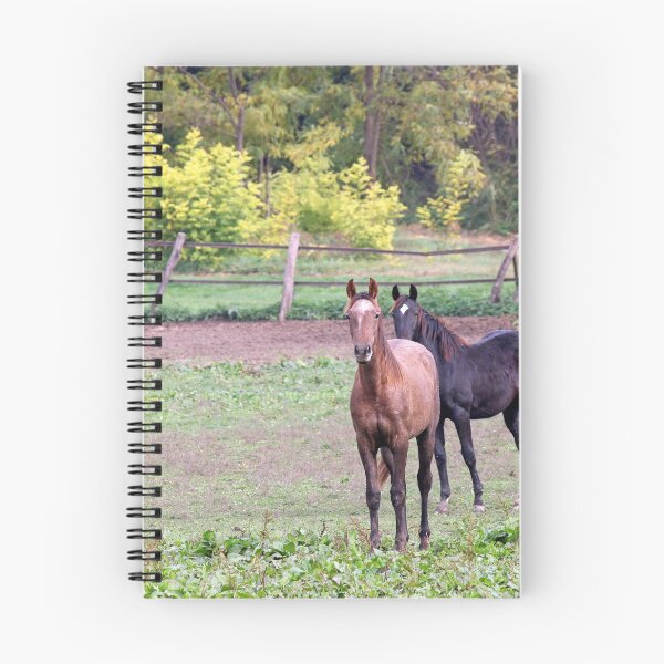 Item preview, two horses on farm agriculture designed and sold by goceris.