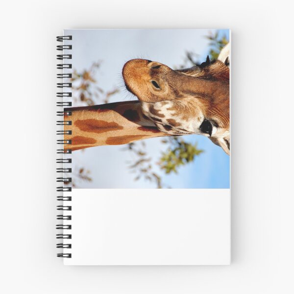 Item preview, Giraffe - Monarto Zoo South Australia designed and sold by patapping.