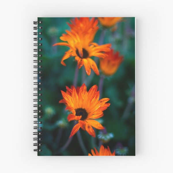 Item preview, STH AFRICAN DAISIES 2 designed and sold by hugo.