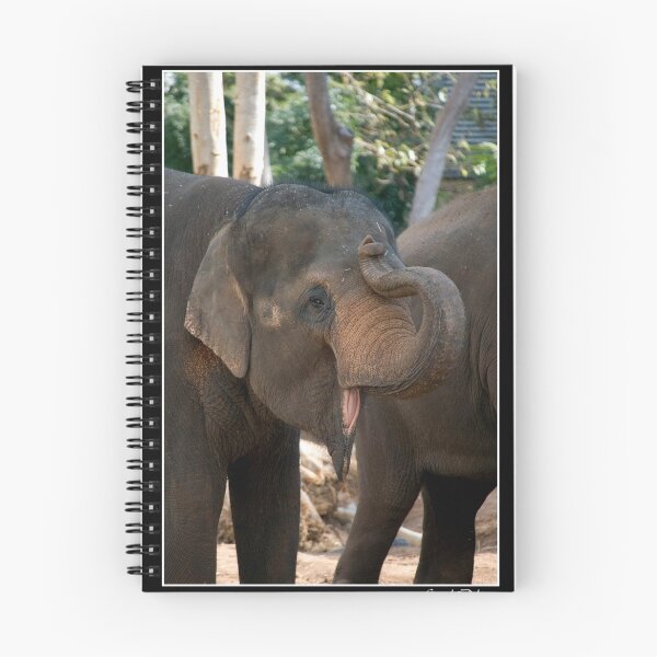 Item preview, Elephas maximus - Asiatic Elephant designed and sold by Gerard Delany.