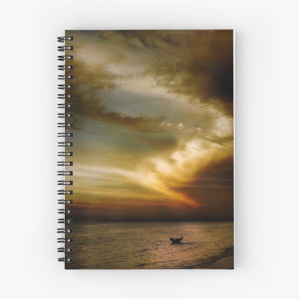 Item preview, Carrums Light Spectacular designed and sold by Samantha Cole-Surjan.