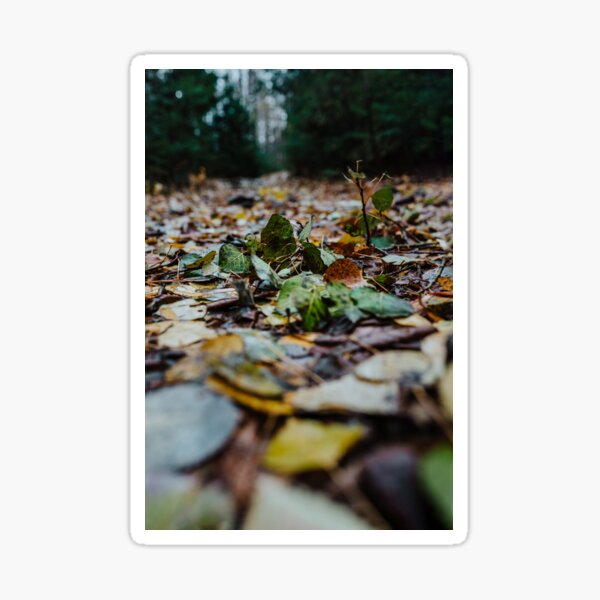November Sticker