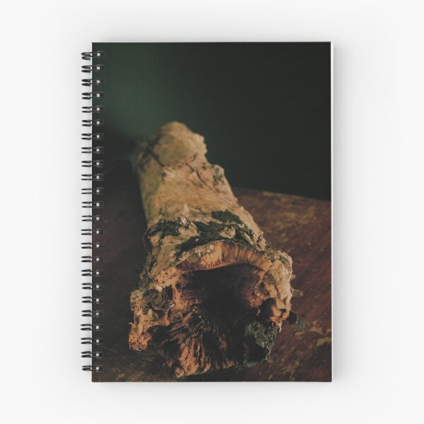Aperçu de l'œuvre bûche créée et vendue par Allan Hyman.
