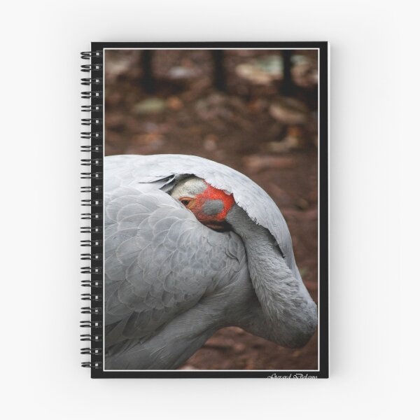 Item preview, Brolga designed and sold by Gerard Delany.