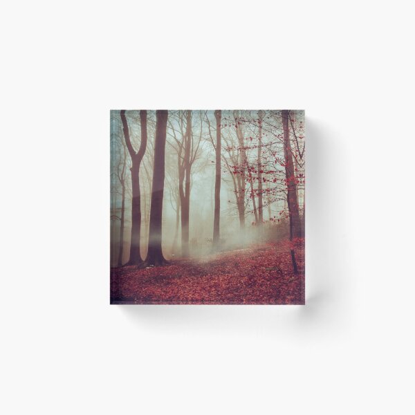 Item preview, Late Autumn Forest designed and sold by Dyrk Wyst Redbubble Shop.