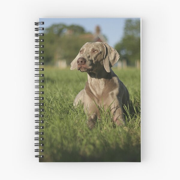 Artikelvorschau, Weimaraner entworfen und verkauft von Moth.