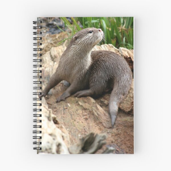 Item preview, Nutria designed and sold by Moth.