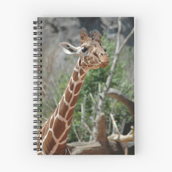 Item preview, Inquisitive designed and sold by Holly Werner.