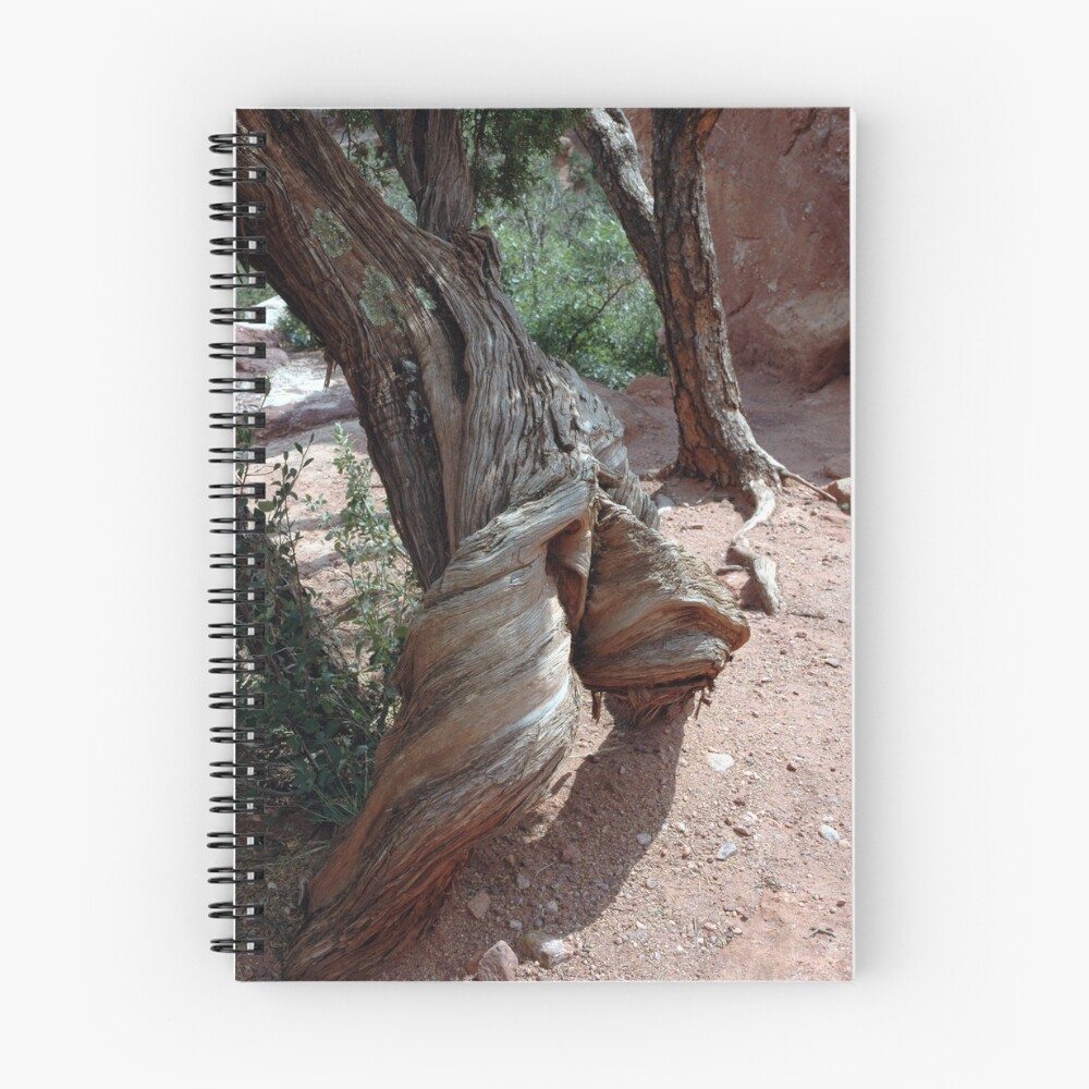 Item preview, Spiral Notebook designed and sold by ritesideup.