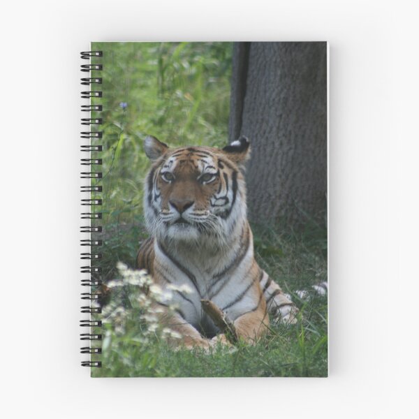 Item preview, Tigris designed and sold by Tigris.