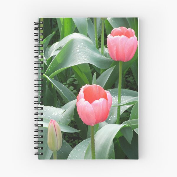 Item preview, Pink Tulips designed and sold by Susiepie.