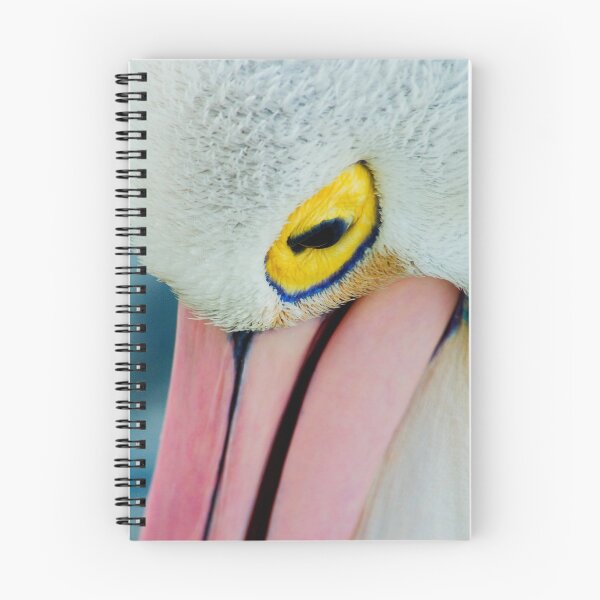 Aperçu de l'œuvre Pensive Pelican créée et vendue par Simon Fallon.