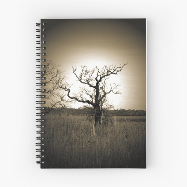 Item preview, "Árbol de Bristol" designed and sold by Jim Sugrue.