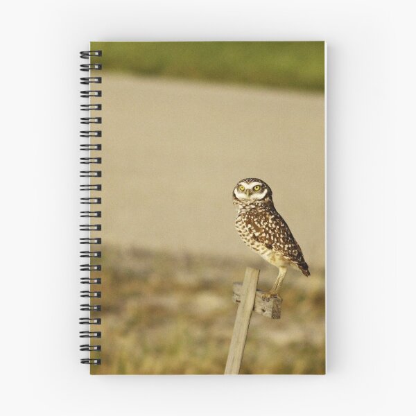 Artikelvorschau, Burrowing Owl entworfen und verkauft von Jim Sugrue.