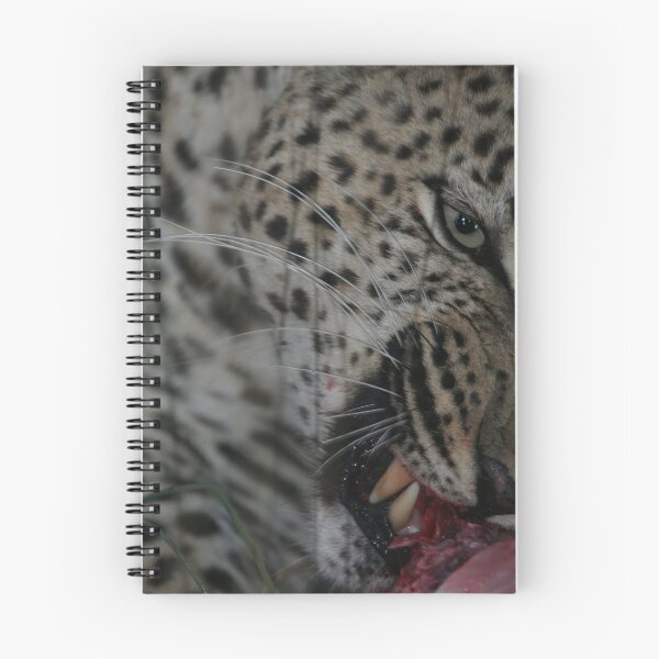Item preview, Leopard Enjoying a Meal designed and sold by Herman Greffrath.