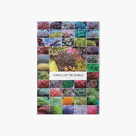 Corals Of The World Art Board Print