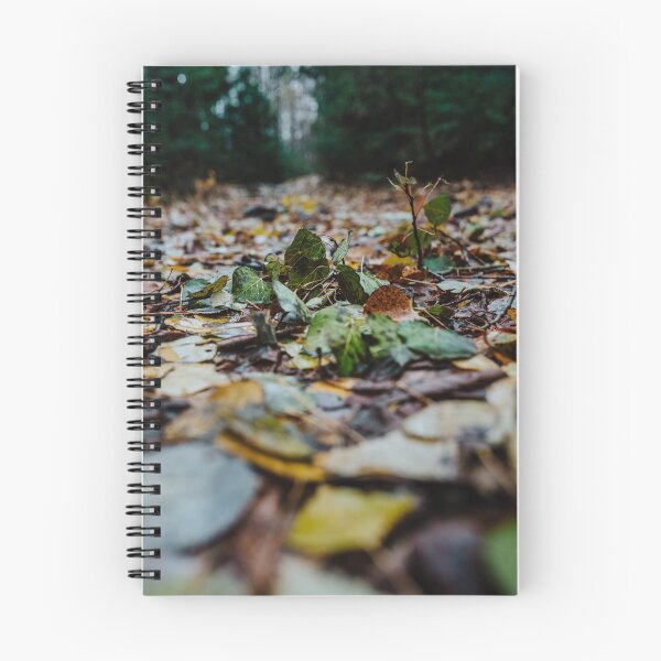 Item preview, noviembre designed and sold by Valerie Rosen Photography.