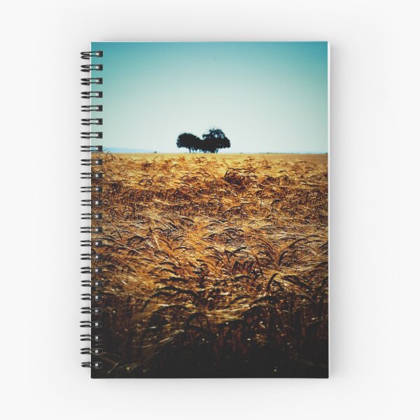 Item preview, the Plain designed and sold by Murray Breingan.
