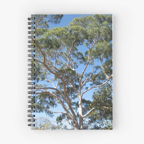 Item preview, Eucalypus Gum Trees in the centre of Melbourne Australia designed and sold by Stephen  Shelley.
