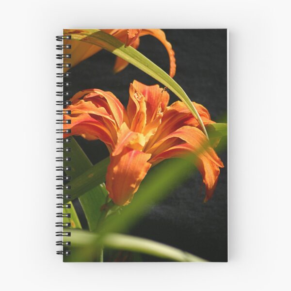 Item preview, Framed Lily designed and sold by Melanie Wells.
