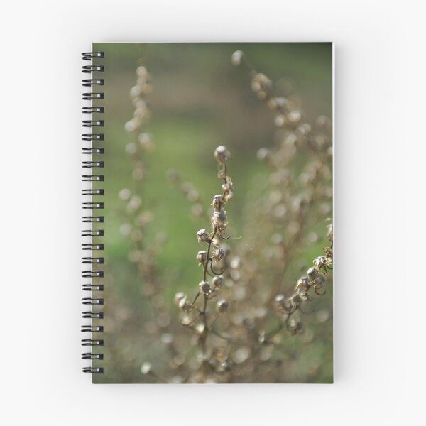 Aperçu de l'œuvre Paper Daisy créée et vendue par Jaye Heraud.