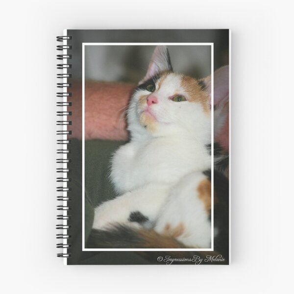 Artikelvorschau, Kitten Admiration entworfen und verkauft von Melanie Wells.