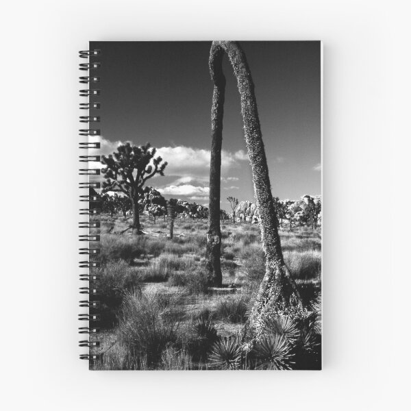 Item preview, Joshua Tree Arch designed and sold by Bill Serniuk.