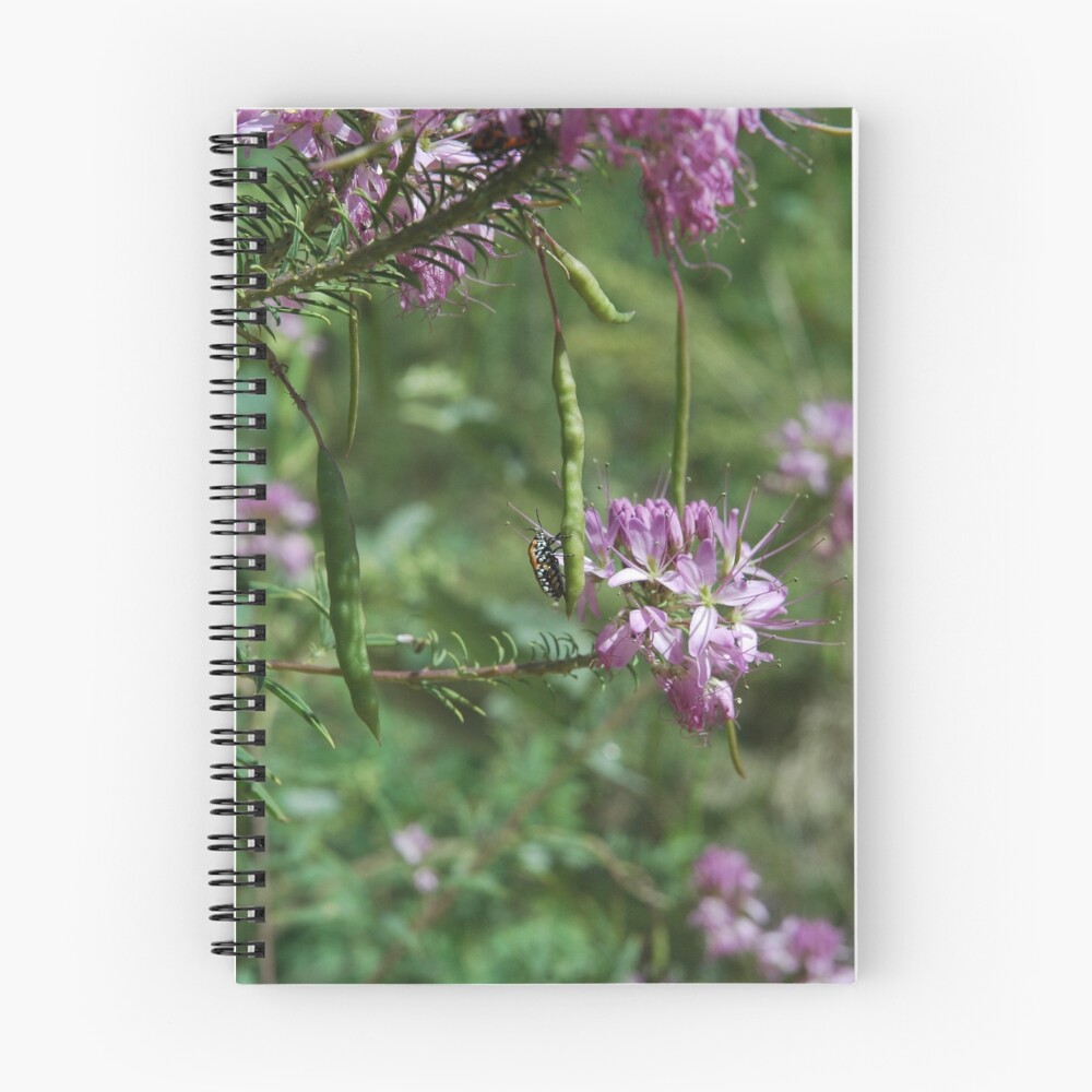 Item preview, Spiral Notebook designed and sold by ritesideup.