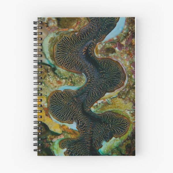 Item preview, Giant Clam designed and sold by Douglas Stetner.