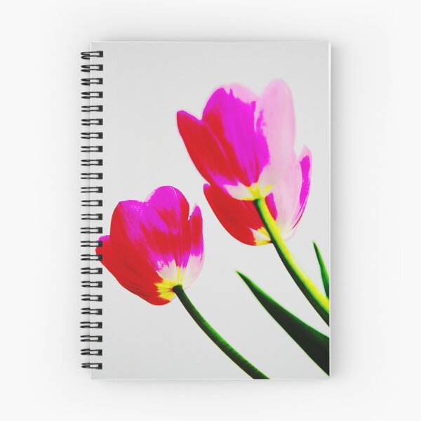 Aperçu de l'œuvre Tulipes créée et vendue par Charlotte Morison.