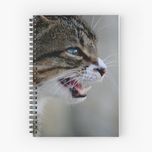 Item preview, Instinct designed and sold by snapshots.
