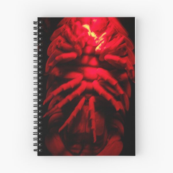 Item preview, Interzone Alien Bug, underwater, sea, bug, designed and sold by pinkstinks.