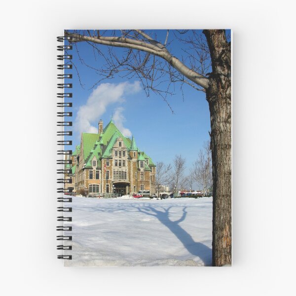 Item preview, Snowed In designed and sold by zook.