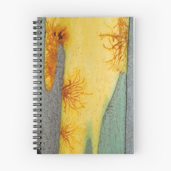 Item preview, Snow Gum Bark designed and sold by Ern Mainka.