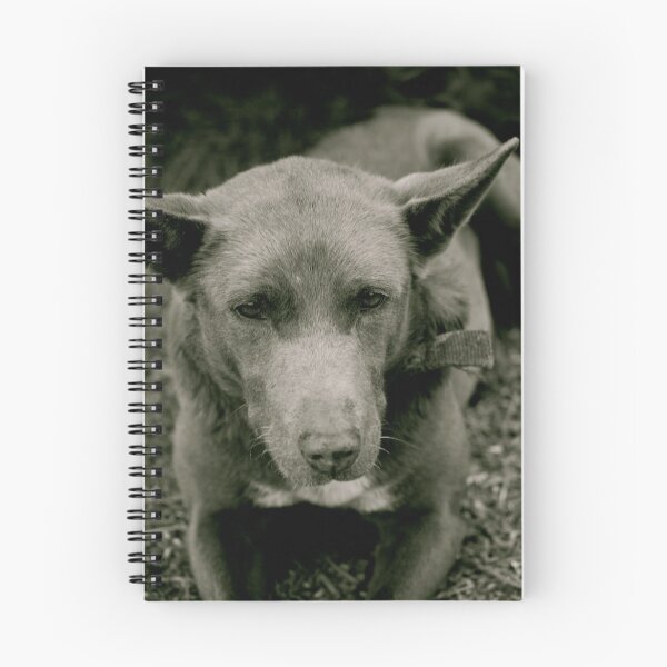 Item preview, Old Dog designed and sold by jwb3.