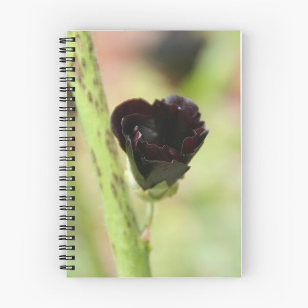 Item preview, Dark designed and sold by hamsta12.