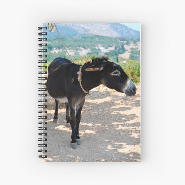 Donkey Spiral Notebook