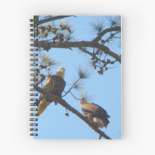 Item preview, 2 Eagles Perched in Tree designed and sold by 2CrabbySisters.