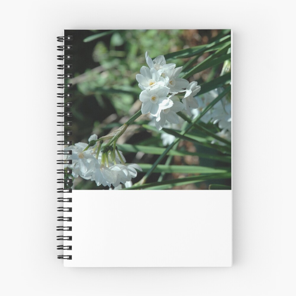 Item preview, Spiral Notebook designed and sold by ritesideup.