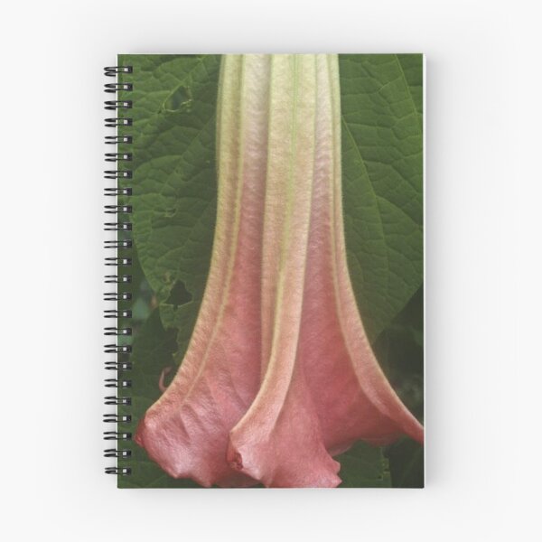Aperçu de l'œuvre God Drop créée et vendue par monarcopia.