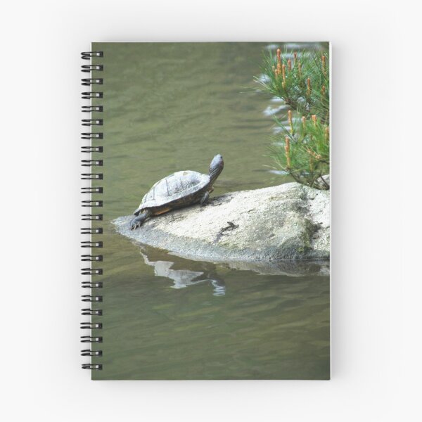 Item preview, Turtle designed and sold by oscarcwilliams.