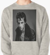 Timothee Chalamet Pullover