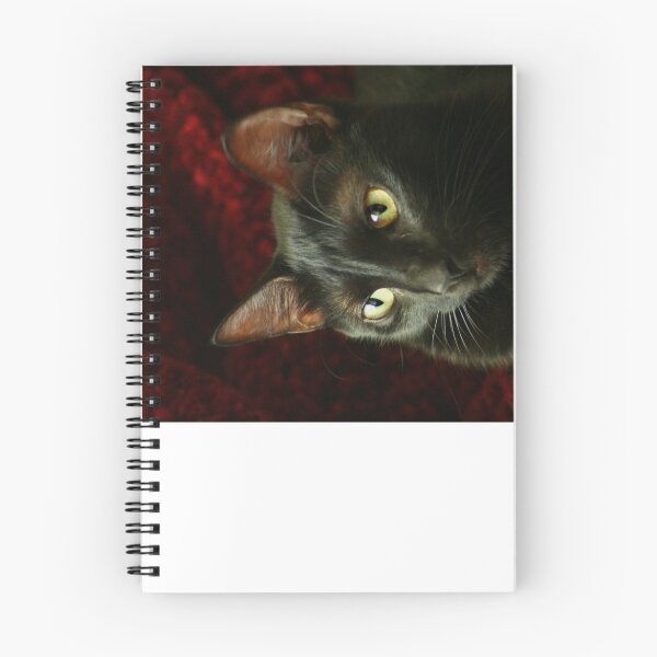 Item preview, Lying In Crimson designed and sold by Taylor Jury.