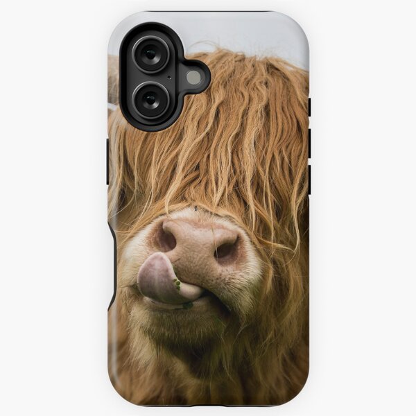 Vista previa del artículo con la obra «Vaca de las tierras altas», diseñado y vendido por Alex Sharp.