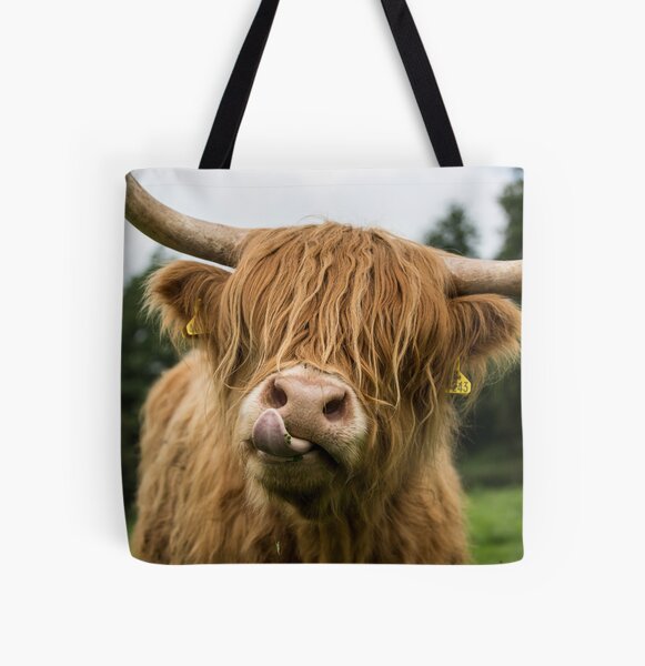 Highland best sale cow purse