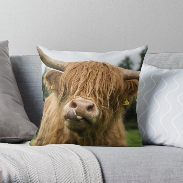 Highland Cow Keyring - Folksy