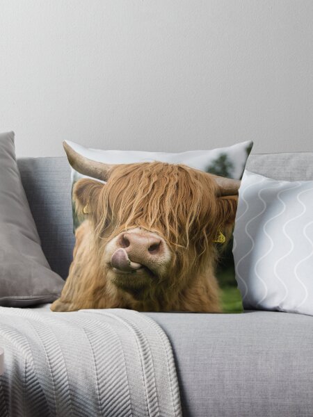 Item preview, Highland Cow designed and sold by Alex Sharp.